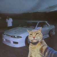 s_t.o_r.m