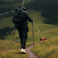 guerriereveille