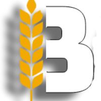 oryginalny dźwięk – barczi_mods