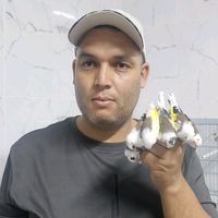 samisalhi447