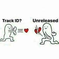 Unreleased Luude Sean Paul and Brodie