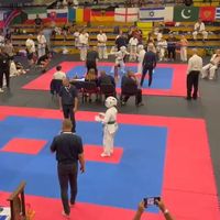 kyokushin_beter1
