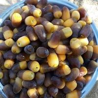 coran_alkarim01