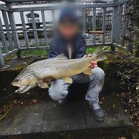 swiss.fishing1