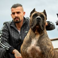 presacanariosanz