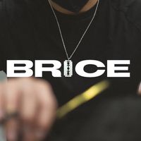 brice.es