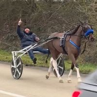 ptrotting