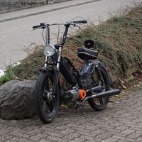 2_stroke_robin