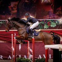 martinebakj.showjumper