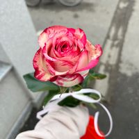 andraaaa28