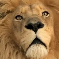 original sound - 1tmdaniel