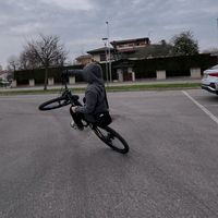 wheeleedo