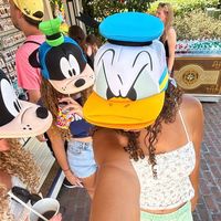 disneyhols