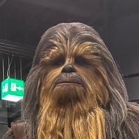 chewbacca266