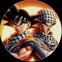 info11114