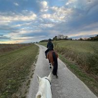 simlingerhof.com