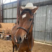 eq.eli6