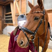 alexia.horselife