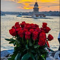 cont_frumos_428