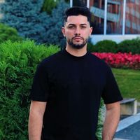 sergiu.stelian