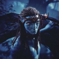melocoton_555