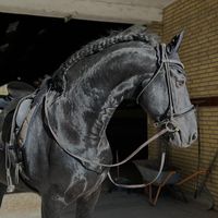 equestsoff