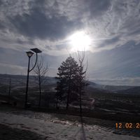 dxa__q