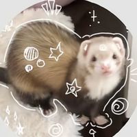 blossomcuteicetea123