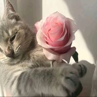 youknowimyodaddyright