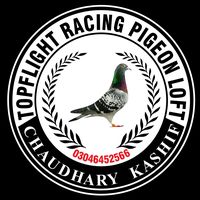 topflightracingpigonloft