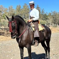 caballos_j.a
