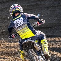 brunotarmann_77