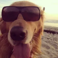 original sound - ti6nni_multi