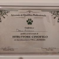 dorella68cucciolavitamy