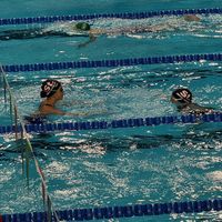 swimmer.tok3