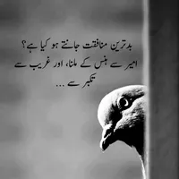 original sound - razagujjar903