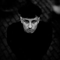 mo_alii17