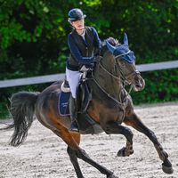 alina.equu