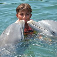 alessandroamodeo77