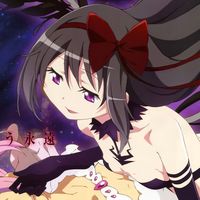 chinchilladoka