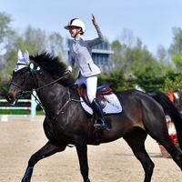 i.l.horses.m