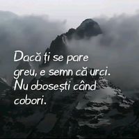 farkasciprian88888888