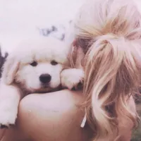 original sound - swiftrecords