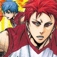 akashisbasket