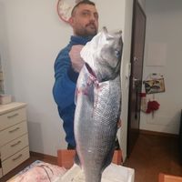 giuseppecannariato83