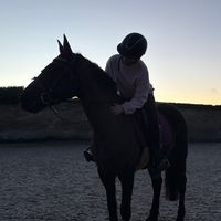 louanne_equitation
