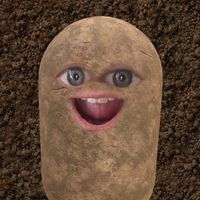 mrpotejto