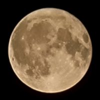 a.n.a.s.t.a.s.i.a.123