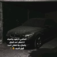 9n_shami