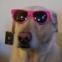 brunoaparicio_